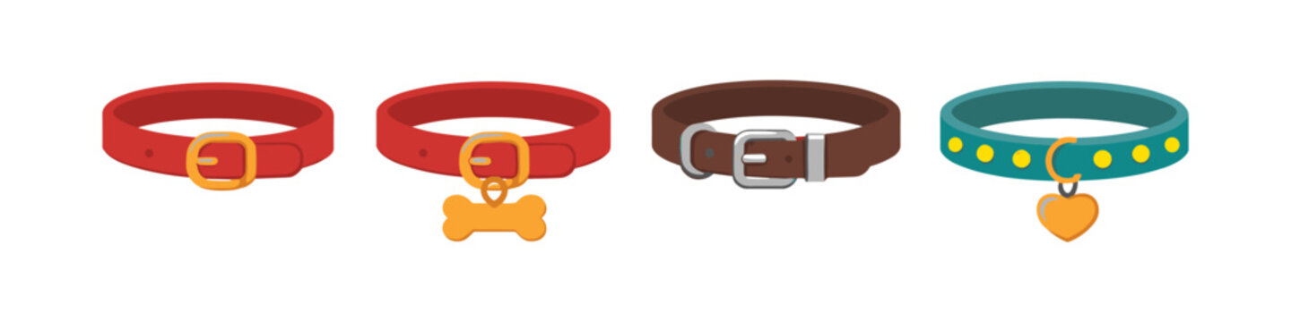 Collection of four different pet collars with various charms and buckles