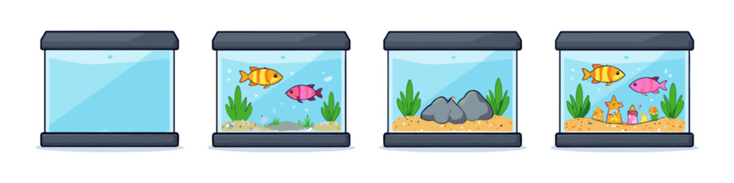 Four stages of setting up a fish tank from empty to decorated aquarium