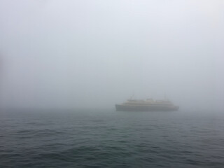 Fototapeta premium Sydney Ferry Shrouded in Dense Morning Fog over Sydney Harbour Australia Atmospheric Maritime Landscape Photography