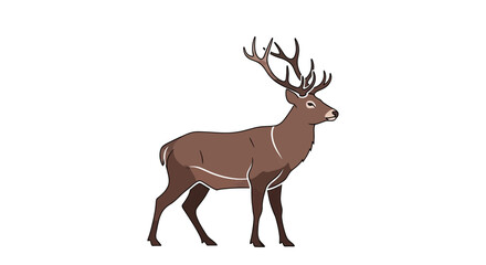 Obraz premium Majestic brown deer with large antlers standing gracefully.