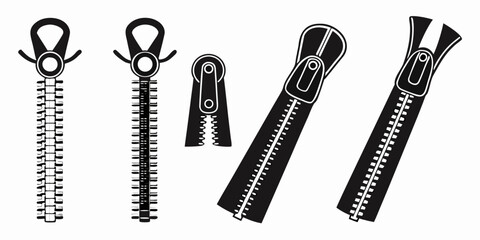 Assorted zippers of various sizes and colors arranged in a row Vector © Mithu