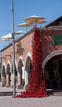 Tequisquiapan, Mexico - 09 February 2025: View of a building facade adorned with vibrant red flowers, contrasting against the light pink wall under a clear blue sky.