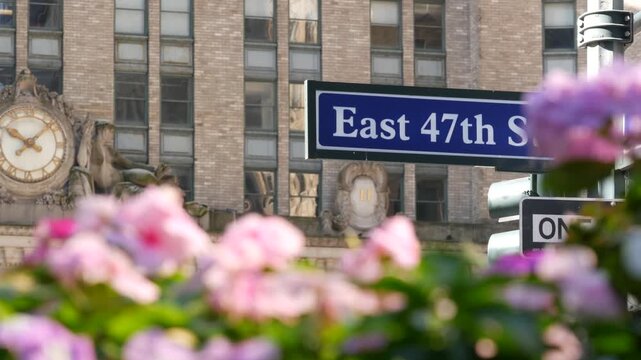New York Park Avenue, 47 street sign, Manhattan Midtown, United States. Urban road sign in american city, traffic sign in NYC, USA. Building architecture near Grand Central. Flower blossom, flowerbed.