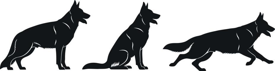 Three german shepherd dogs in different poses