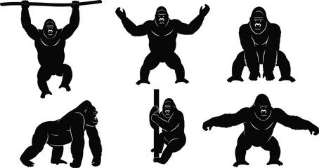 Gorilla Silhouette Collection Featuring Silverback Great Ape Poses Standing Climbing and Hanging for Wildlife Conservation Zoo Safari Nature Vector Illustration Set © Rowshan