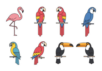 Collection of Stylized Tropical Birds Including Flamingo Macaw Toucan and Parrot Facing Left and Right on Perches © Jonmart