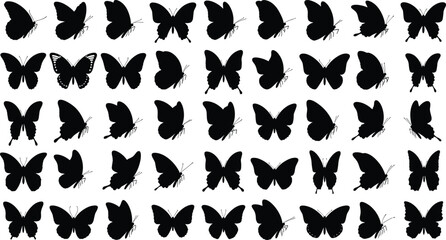 Fototapeta premium Butterfly silhouette collection featuring diverse wing shapes and flying poses isolated on white background, black insect vector illustration set