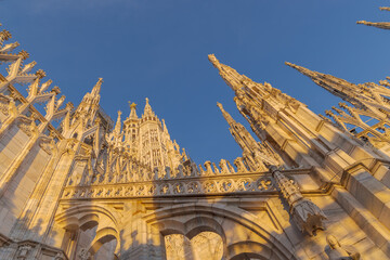 Fototapety na wymiar - Fototapeta24.pl