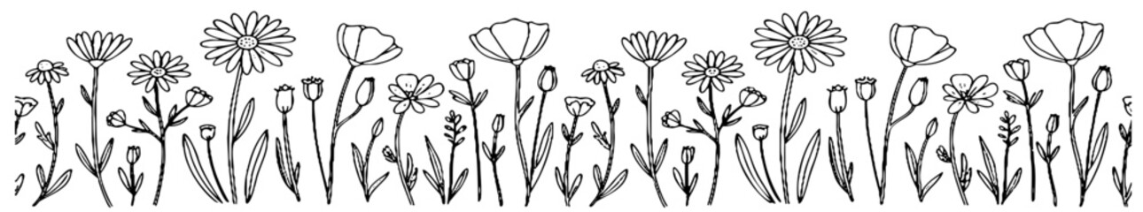 Hand drawn seamless horizontal border of wildflowers including daisies poppies and various blooms