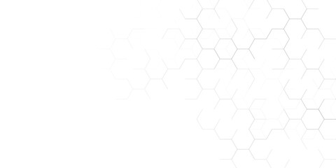 Abstract white and light grey hexagon pattern background. Clean geometric honeycomb structure vector illustration with copy space © Fannaan