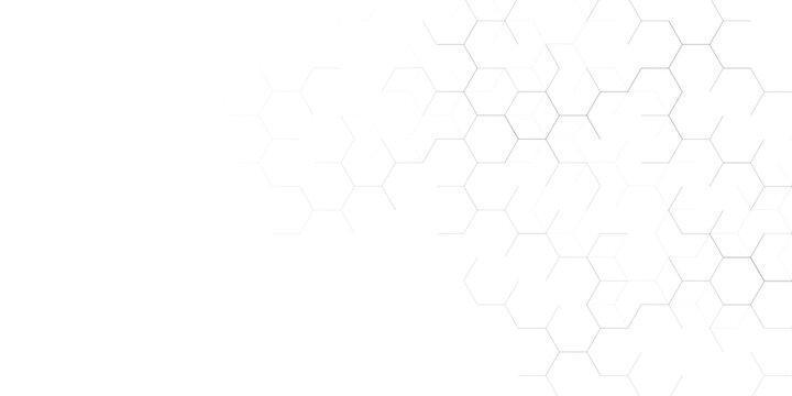 Abstract white and light grey hexagon pattern background. Clean geometric honeycomb structure vector illustration with copy space