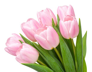 Firefly_Meat carving knifes isolated on transparent background. PNG , se of - Firefly_Pink tulips isolated on transparent background. PNG , se of  (2)