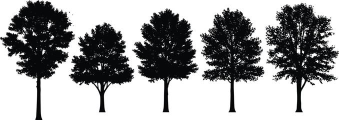 Fototapeta premium Set of black tree silhouettes including various species and shapes for landscape design nature environmental projects and outdoor scenery vector illustrations,