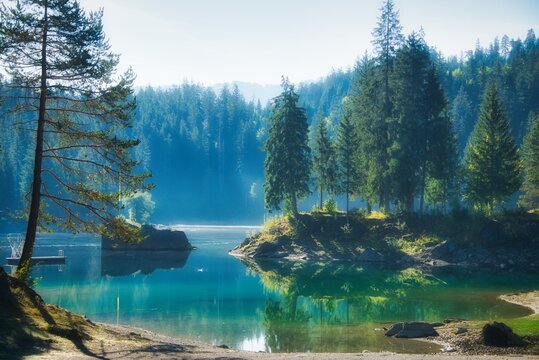 Forest surrounding the Cauma lake (Caumasee) in the Grisons, Switzerland