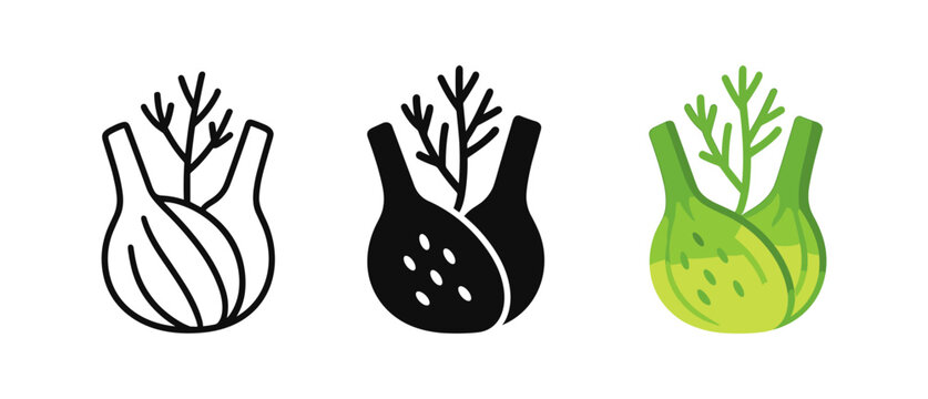 Elegant fennel icons in line, glyph, and color styles for culinary design