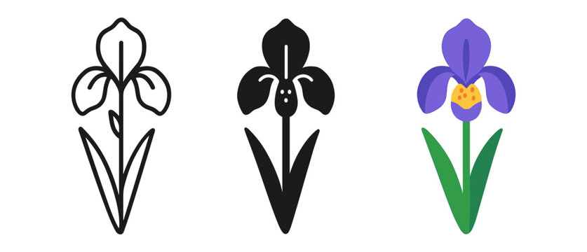 Minimalist and colorful iris flower icons featuring linear, silhouette, and flat designs