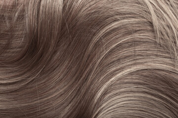 Naklejka premium Blond hair close-up as a background. Women's long light brown hair. Beautifully styled wavy shiny curls. Hair coloring. Hairdressing procedures, extension.