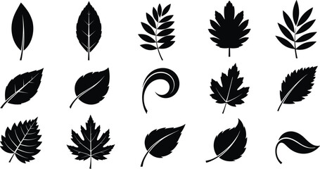 Leaf silhouette vector illustration, black botanical icons, nature foliage artwork, plant design elements, decorative leaf graphics, organic shapes, eco symbol