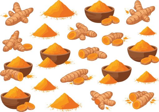 Turmeric powder and fresh turmeric root collection realistic spice ingredient set isolated for cooking, ayurvedic, herbal and organic product design