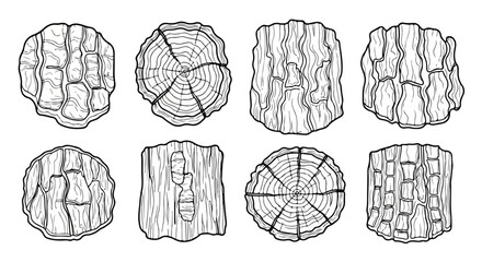 Diverse cross-sections of tree trunks showcasing unique ring patterns and textures Vector © Runa