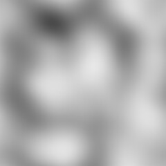 Soft Grayscale Blurred Abstract Background with Gentle White and Dark Gradient Tones for Subtle Modern Design Concepts