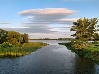 Beautiful summer river with trees on the banks. A seagull is flying in the sky