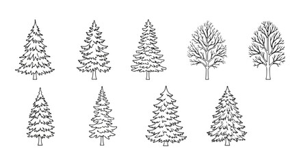A collection of ten different types of trees drawn in black and white Vector © Runa