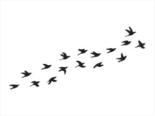 Obraz premium Flock of flying birds silhouette flat vector, Group of flying birds silhouette vector illustration