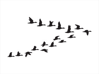 Silhouette of flock of flying duck vector. Flying Ducks, Geese Silhouette Vector, Flock of Birds in V Formation Illustration © Chan