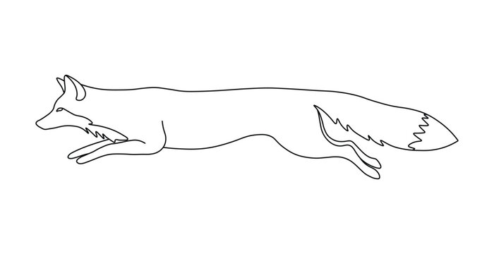 Red fox jumping across conceptual landscapes with continuous black line art drawing styles