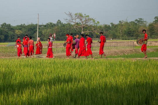 Sylhet, Bangladesh - 13 April 2025: View of a vibrant procession of people in bright red attire, playing instruments, walking along a path through lush green rice fields.