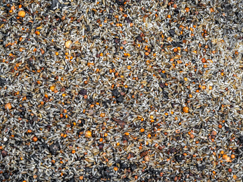 Dhaka, Bangladesh - 28 November 2025: View of a textured blend of grains, seeds, and small orange balls creates a mottled surface, offering a feast for the eyes and the birds..