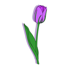 tulip flower, digitally illustrated with a continuous thin line, vector-illustration