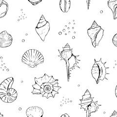 Hand drawn seashell pattern. Doodle seashells seamless pattern