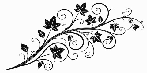 Elegant black and white floral vine design with intricate swirls and leaves © Murad