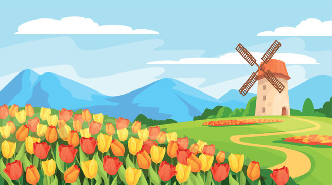 Tulips field landscape. Colorful garden tulip spring flowers meadow cartoon nature background, green wildflowers plants blue sky scenery panoramic banner, neat vector illustration