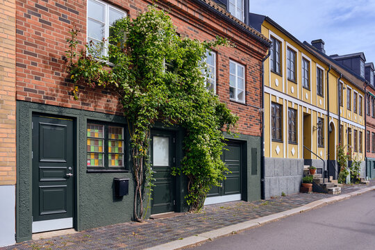 Helsingborg, Sweden - 12 August 2025: View of charming brick and timber buildings draped with vibrant green vines under a bright sky, reflecting the unique blend of urban nature.