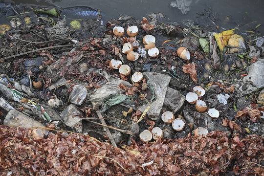 Dhaka, Bangladesh - 09 September 2025: View of a waterway choked with discarded eggshells, plastic debris, and decaying organic matter, a stark contrast to the city's vibrant life..