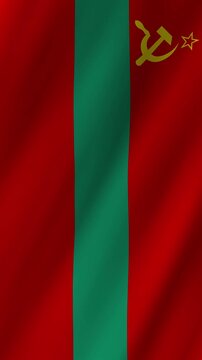 Vertical Transnistria Flag Waving Animation, 4K Quality