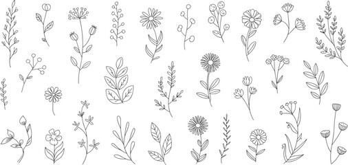 Hand drawn wildflower and leaf doodle set, minimalist black and white botanical line art collection isolated on white background for design