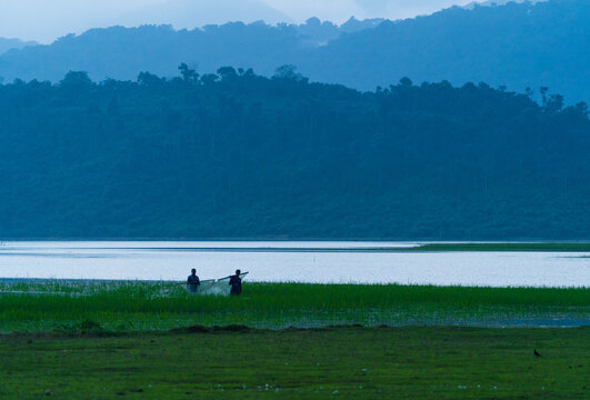 Bholaganj, Bangladesh - 27 August 2021: View of two figures wading through the verdant marshland as the serene water reflects the misty, forested hills in the distance.