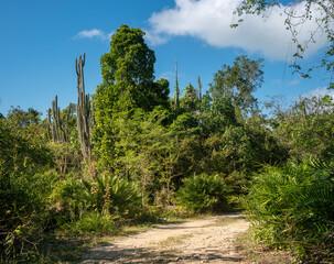 Hiking along the trails of Cotubanam&aacute; National Park, Bayahibe, La Romana, Dominican Republic
