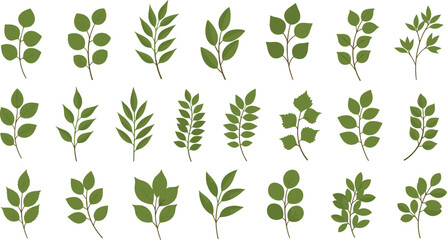 Green leaf branch set with botanical foliage sprigs for nature design elements © EdGe Creative