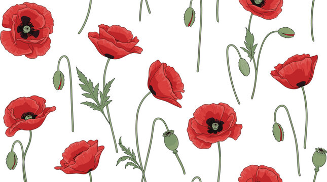 Seamless red poppy flower pattern with hand drawn botanical stems, buds and leaves