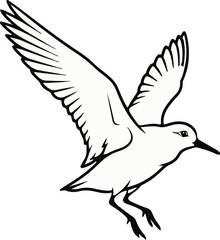 Obraz premium Line art of a sandpiper with wings spread, legs extended for landing