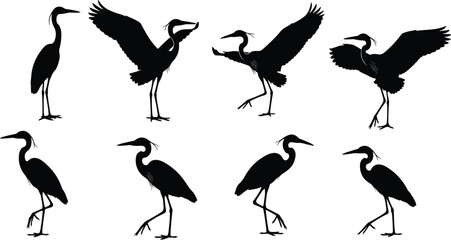 Obraz premium flavector, Black Heron Silhouettes Collection Featuring Elegant Great Blue Herons in Flying, Standing, and Walking Poses Isolated on White Background