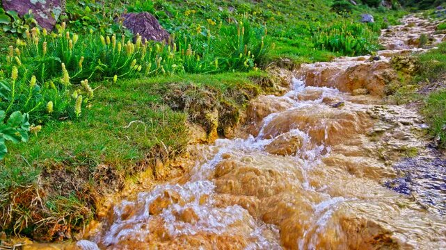 Serene iron-rich stream flows over rocks in mountainous terrain. Lush green plants surround the scene, creating a peaceful and natural atmosphere.