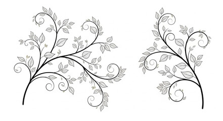 Floral Branch Illustration Design Elements.