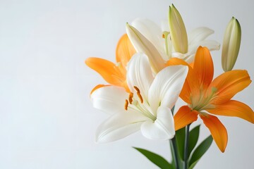 Fresh Lily Bulbs with Colorful Flowers