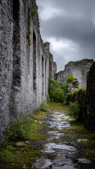 Dark and mysterious ancient stone ruins under overcast sky with wet muddy path reflecting gloomy gray clouds creating lonely and abandoned historical atmosphere